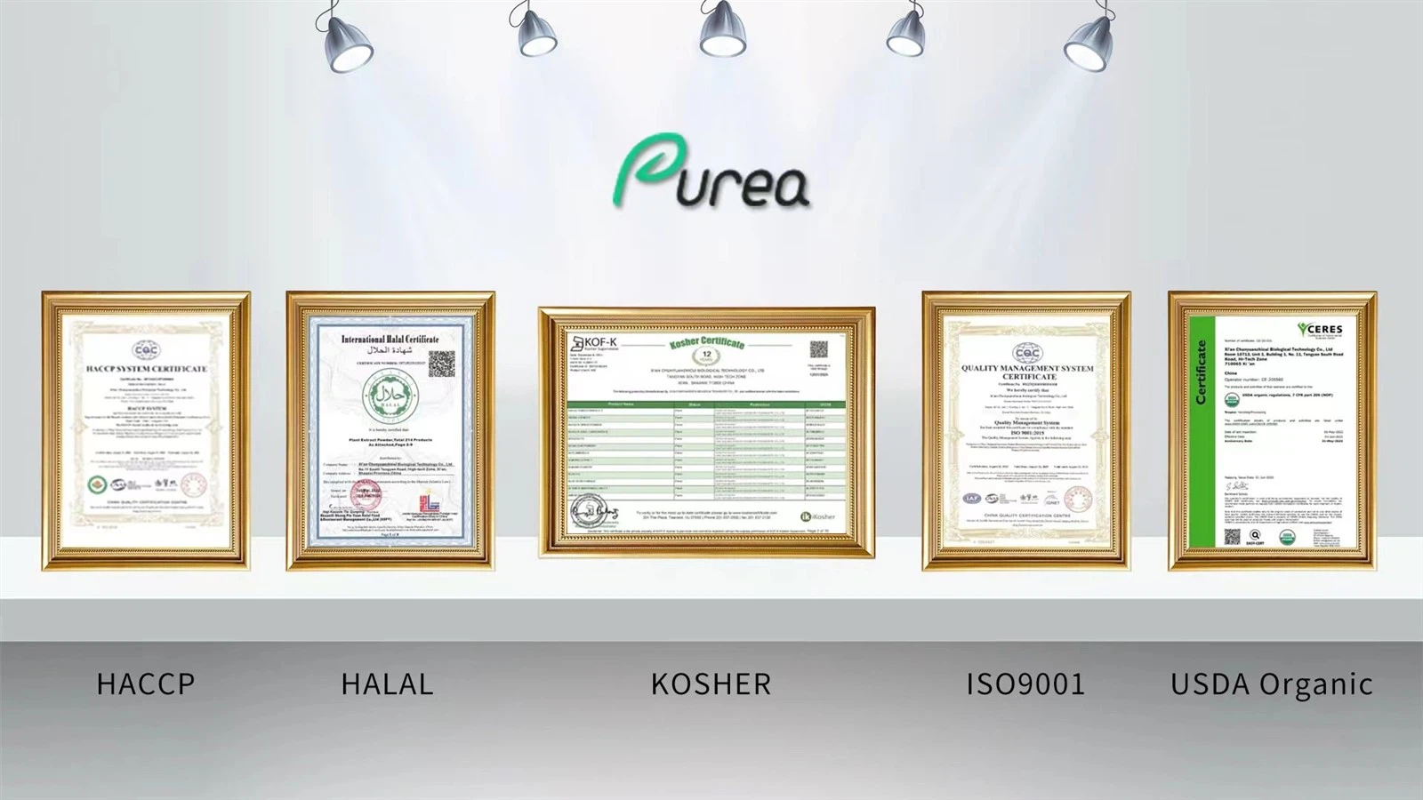 30a98e3fba20898838807dcbb62f14ea 30a98e3fba20898838807dcbb62f14ea